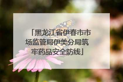 黑龙江省伊春市市场监管局伊美分局筑牢药品安全防线