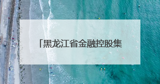 黑龙江省金融控股集团有限公司原党委书记、董事长于宏接受纪律审查和监察调查