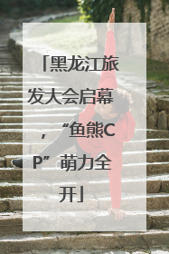黑龙江旅发大会启幕，“鱼熊CP”萌力全开