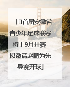 ﻿首届安徽省青少年足球联赛将于9月开赛 拟邀请赵鹏为先导赛开球