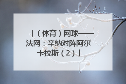 （体育）网球——法网：辛纳对阵阿尔卡拉斯（2）