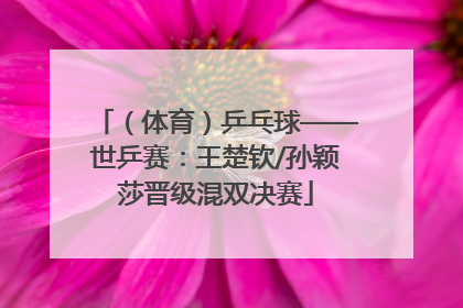 （体育）乒乓球——世乒赛：王楚钦/孙颖莎晋级混双决赛