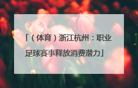 （体育）浙江杭州：职业足球赛事释放消费潜力