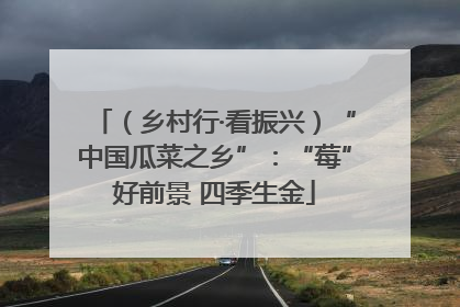 （乡村行·看振兴）“中国瓜菜之乡”：“莓”好前景 四季生金