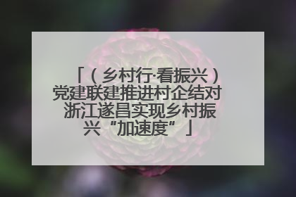 （乡村行·看振兴）党建联建推进村企结对 浙江遂昌实现乡村振兴“加速度”