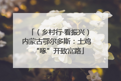 （乡村行·看振兴）内蒙古鄂尔多斯：土鸡“啄”开致富路