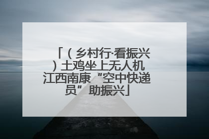 （乡村行·看振兴）土鸡坐上无人机 江西南康“空中快递员”助振兴