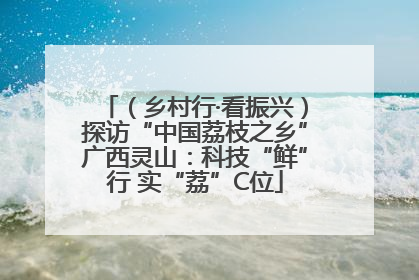 （乡村行·看振兴）探访“中国荔枝之乡”广西灵山：科技“鲜”行 实“荔”C位