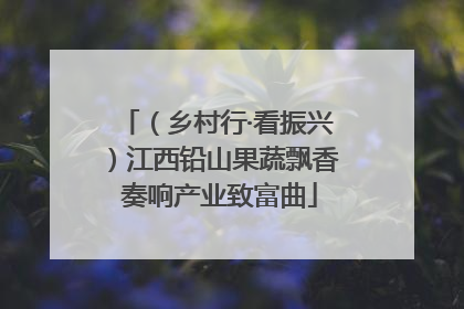 （乡村行·看振兴）江西铅山果蔬飘香 奏响产业致富曲