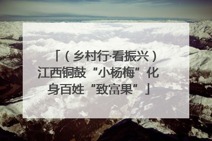 （乡村行·看振兴）江西铜鼓“小杨梅”化身百姓“致富果”