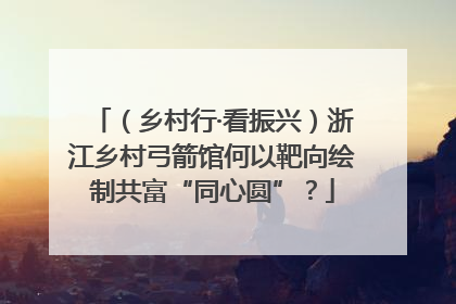 （乡村行·看振兴）浙江乡村弓箭馆何以靶向绘制共富“同心圆”？