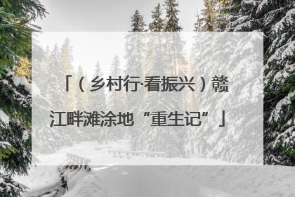 （乡村行·看振兴）赣江畔滩涂地“重生记”