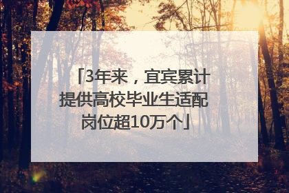 3年来，宜宾累计提供高校毕业生适配岗位超10万个