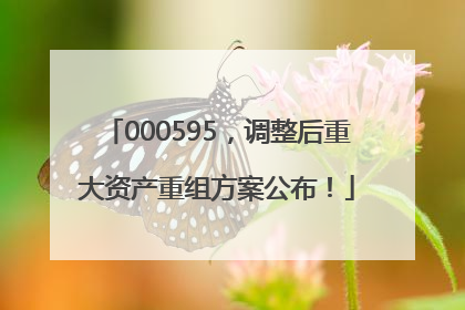 000595，调整后重大资产重组方案公布！