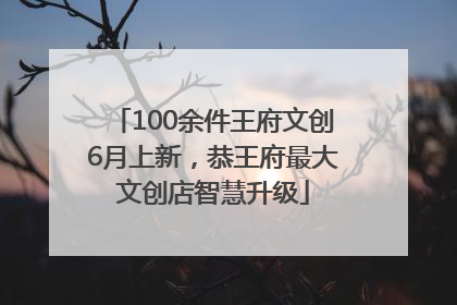 100余件王府文创6月上新，恭王府最大文创店智慧升级