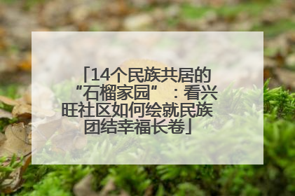 14个民族共居的“石榴家园”：看兴旺社区如何绘就民族团结幸福长卷