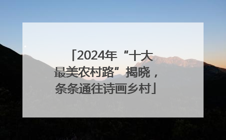 2024年“十大最美农村路”揭晓，条条通往诗画乡村