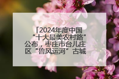 2024年度中国“十大最美农村路”公布，枣庄市台儿庄区“鲁风运河”古城文化廊道上榜！