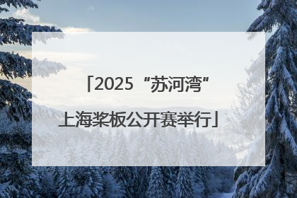 2025“苏河湾”上海桨板公开赛举行