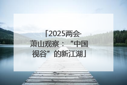 2025两会·萧山观察：“中国视谷”的新江湖