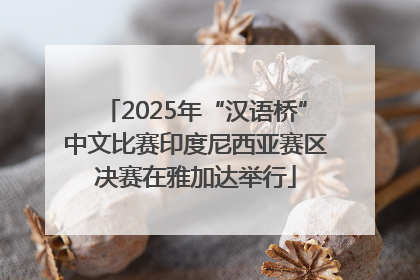 2025年“汉语桥”中文比赛印度尼西亚赛区决赛在雅加达举行