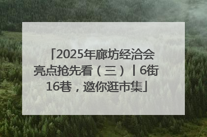 2025年廊坊经洽会亮点抢先看（三）丨6街16巷，邀你逛市集