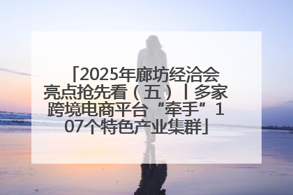 2025年廊坊经洽会亮点抢先看（五）丨多家跨境电商平台“牵手”107个特色产业集群