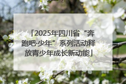 2025年四川省“奔跑吧·少年”系列活动释放青少年成长新动能