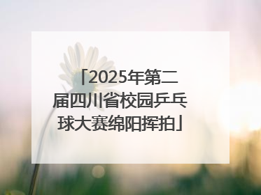 2025年第二届四川省校园乒乓球大赛绵阳挥拍