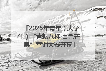 2025年青年（大学生）“青耘八桂·百色芒果”营销大赛开幕