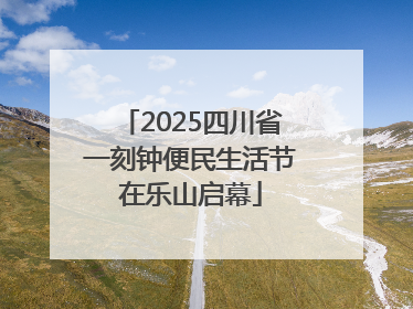2025四川省一刻钟便民生活节在乐山启幕