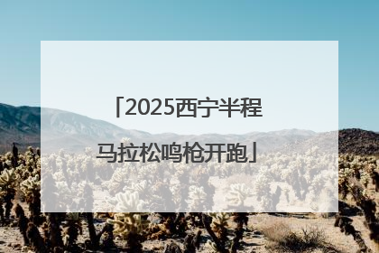 2025西宁半程马拉松鸣枪开跑