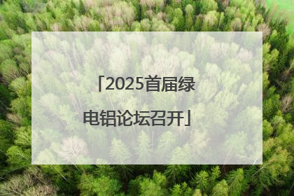 2025首届绿电铝论坛召开