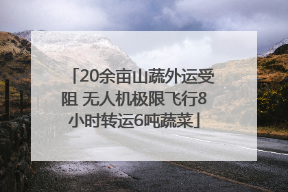 20余亩山蔬外运受阻 无人机极限飞行8小时转运6吨蔬菜