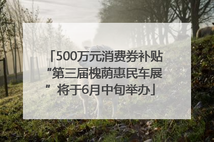 500万元消费券补贴 “第三届槐荫惠民车展”将于6月中旬举办