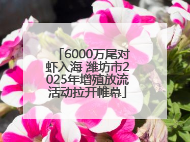 6000万尾对虾入海 潍坊市2025年增殖放流活动拉开帷幕