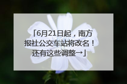 6月21日起，南方报社公交车站将改名！还有这些调整→