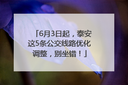 6月3日起，泰安这5条公交线路优化调整，别坐错！