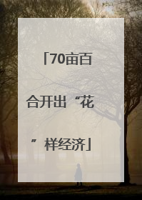 70亩百合开出“花”样经济
