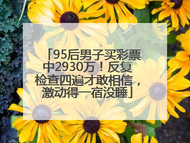95后男子买彩票中2930万！反复检查四遍才敢相信，激动得一宿没睡