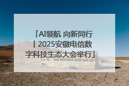 AI领航 向新同行丨2025安徽电信数字科技生态大会举行