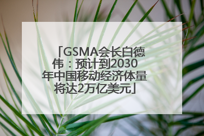 GSMA会长白德伟：预计到2030年中国移动经济体量将达2万亿美元